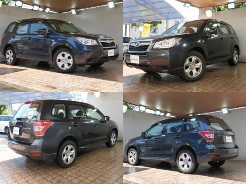FORESTER