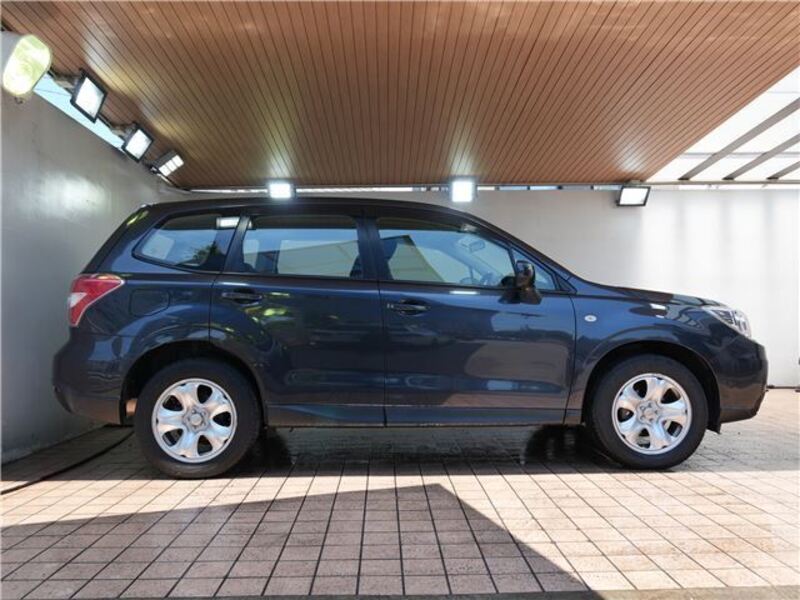 FORESTER