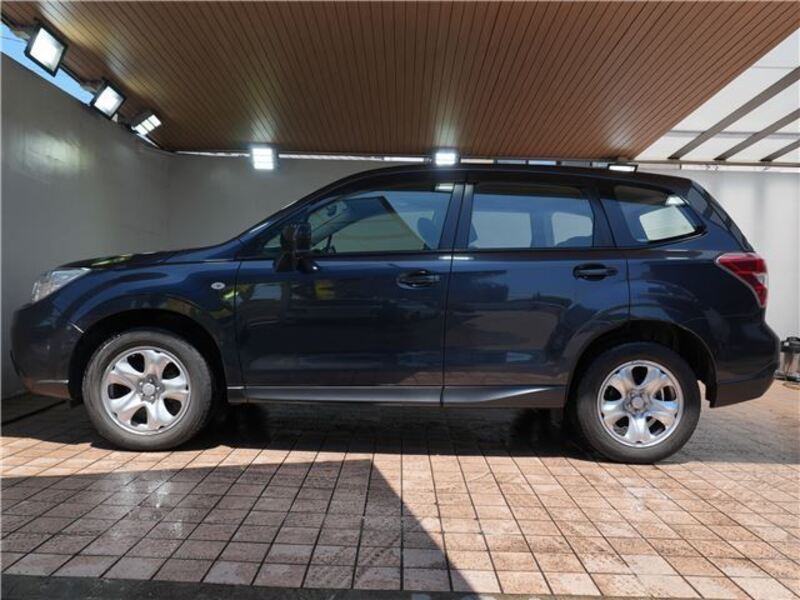 FORESTER