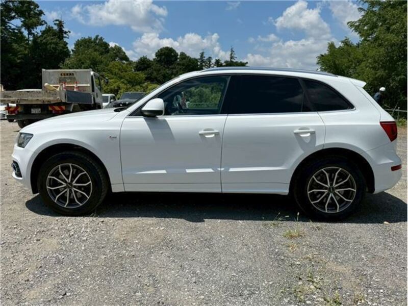 Q5