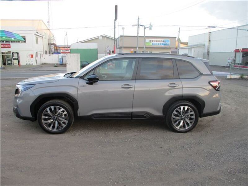 FORESTER