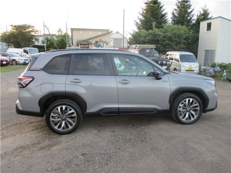 FORESTER