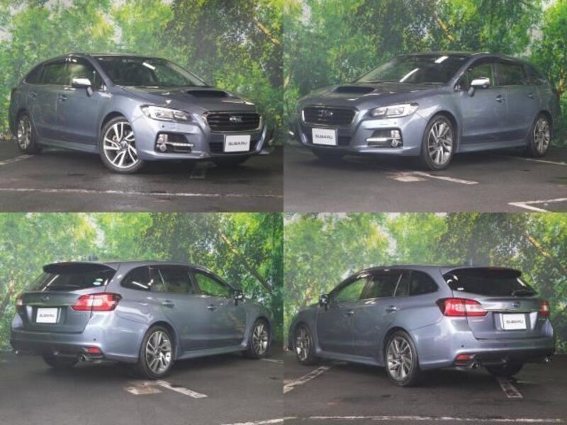 LEVORG