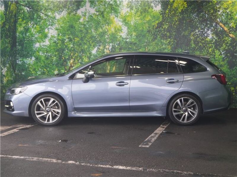 LEVORG