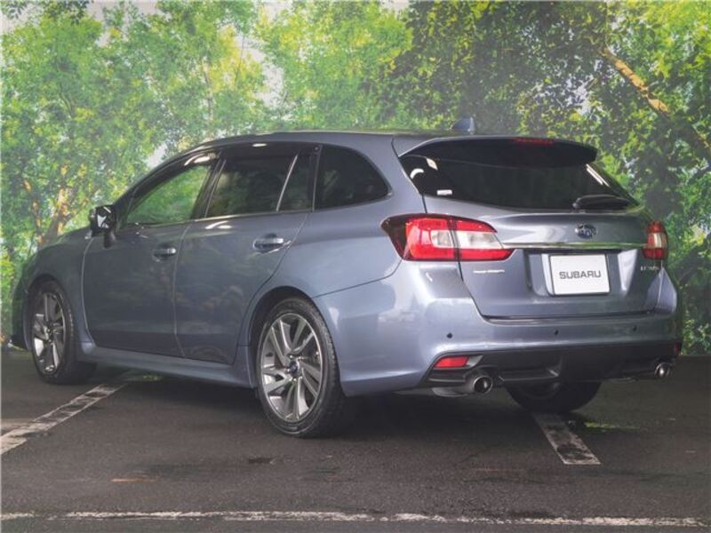 LEVORG
