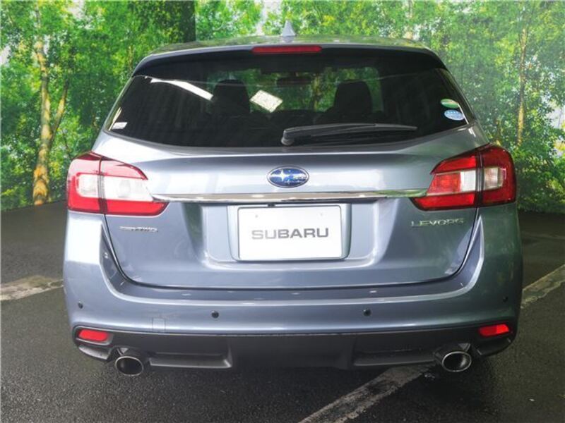 LEVORG