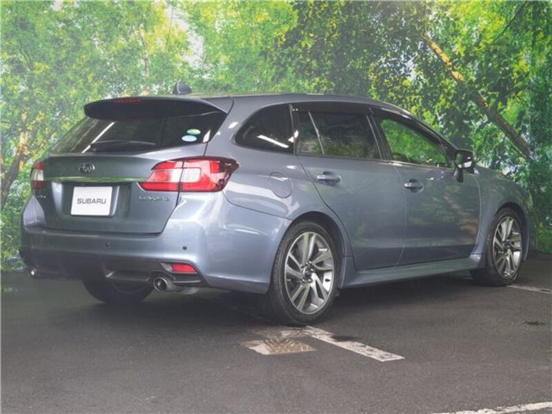 LEVORG