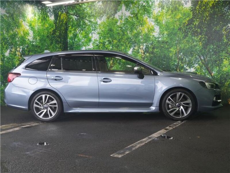 LEVORG