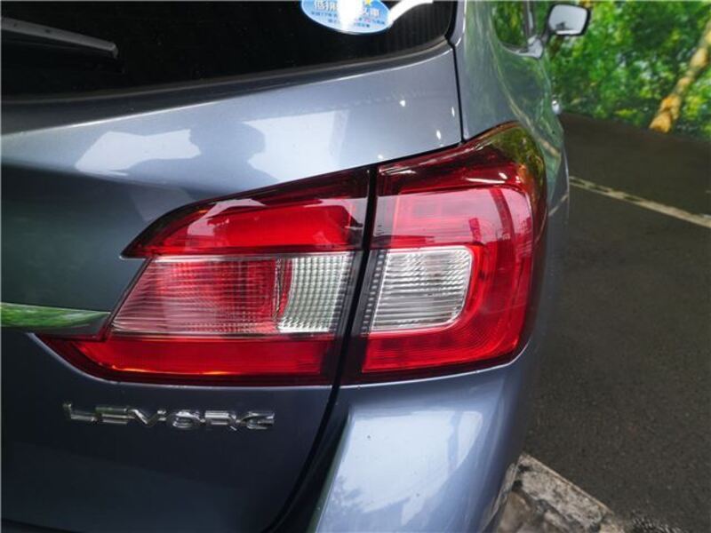 LEVORG