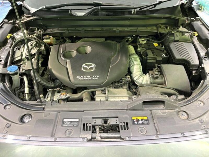 CX-8