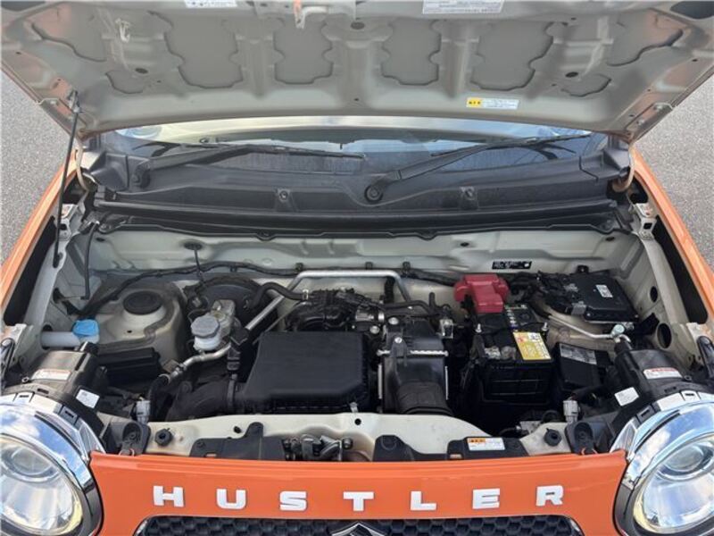 HUSTLER