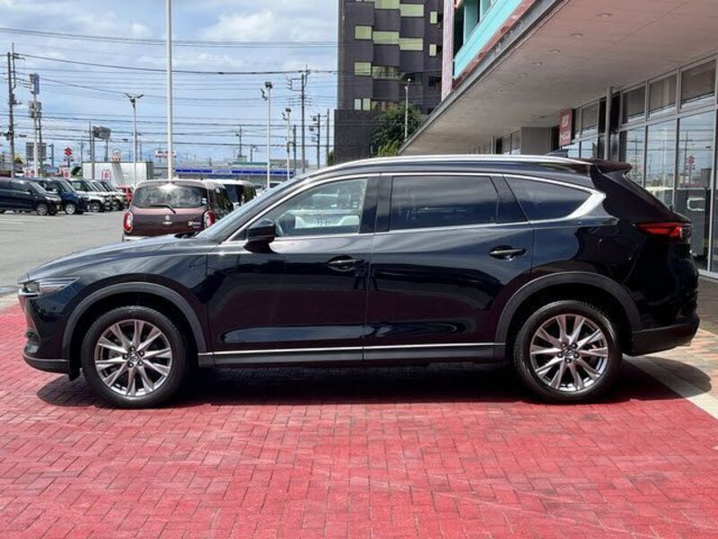 CX-8