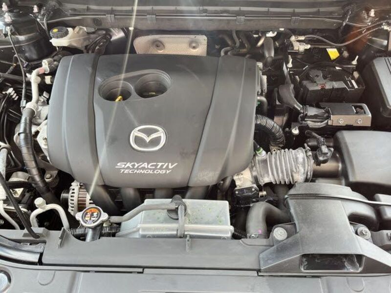 CX-8