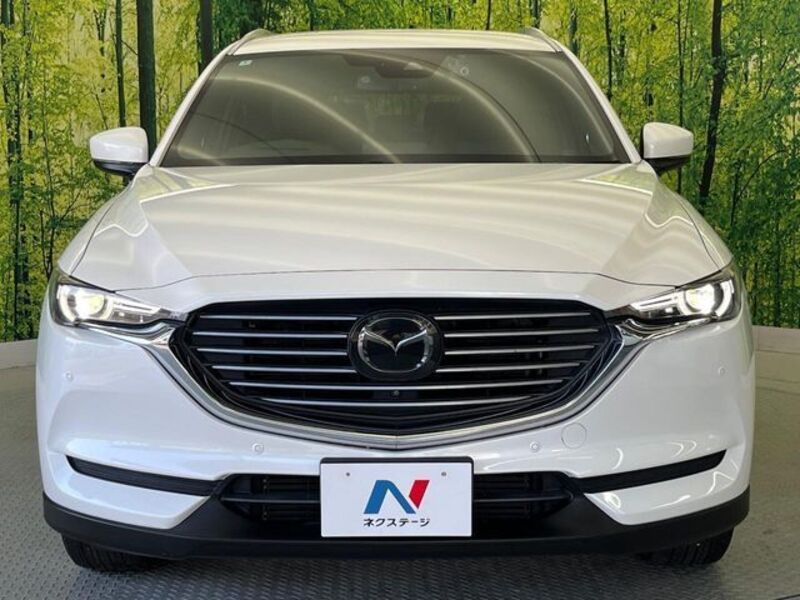 CX-8
