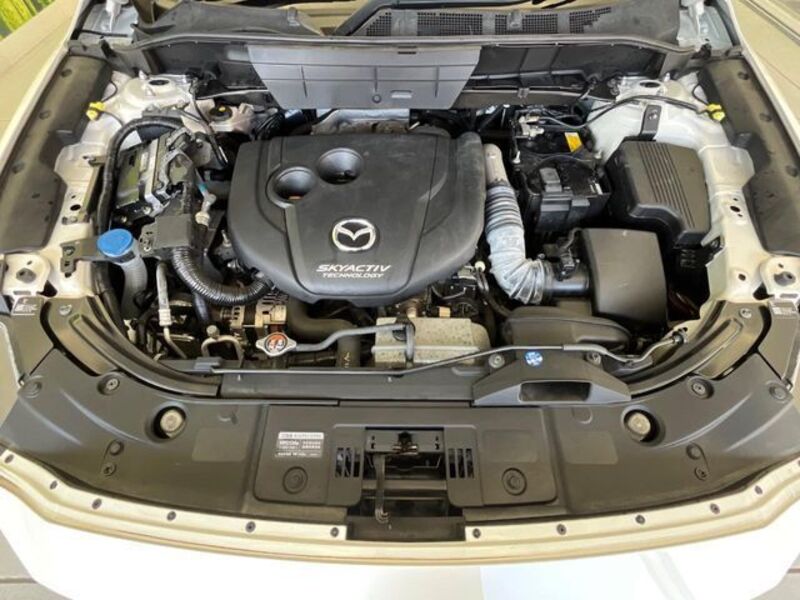 CX-8