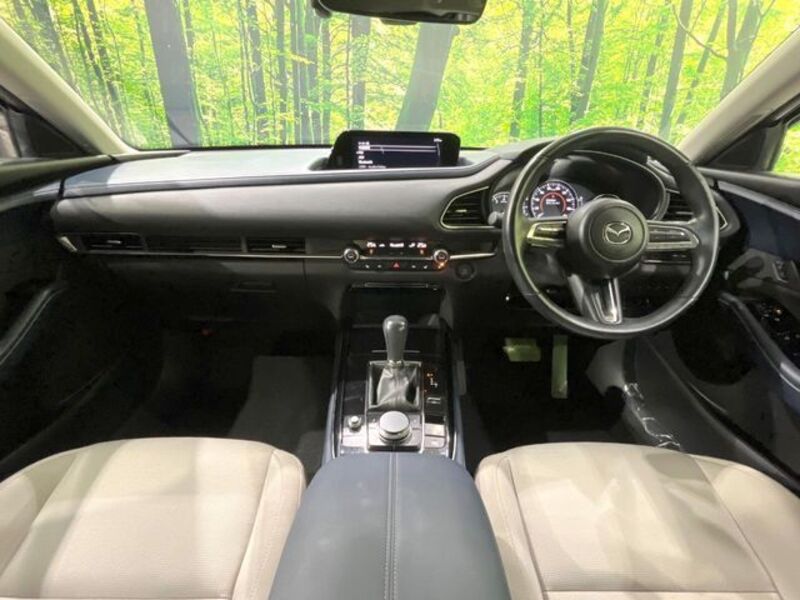 CX-30