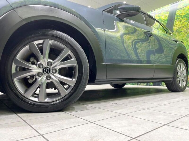 CX-30