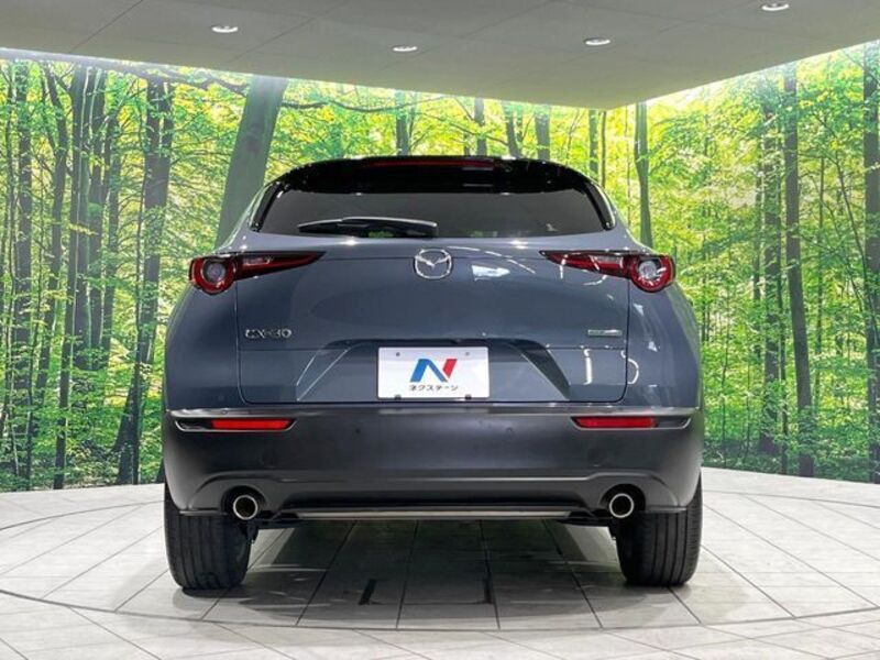 CX-30
