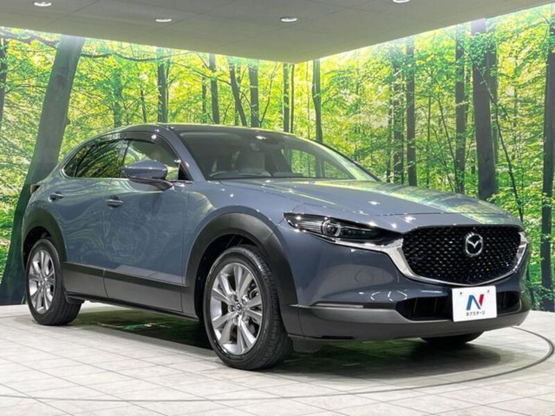 CX-30
