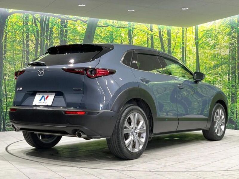CX-30