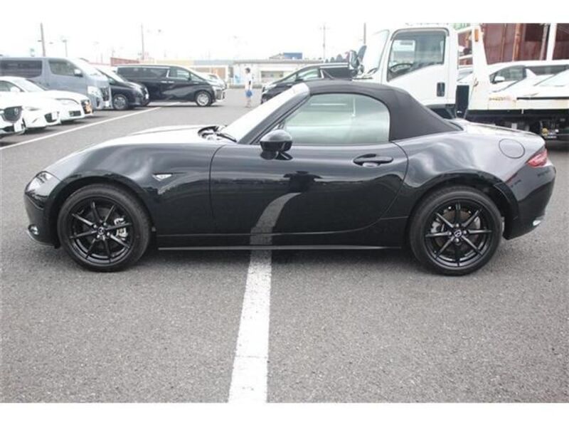 ROADSTER
