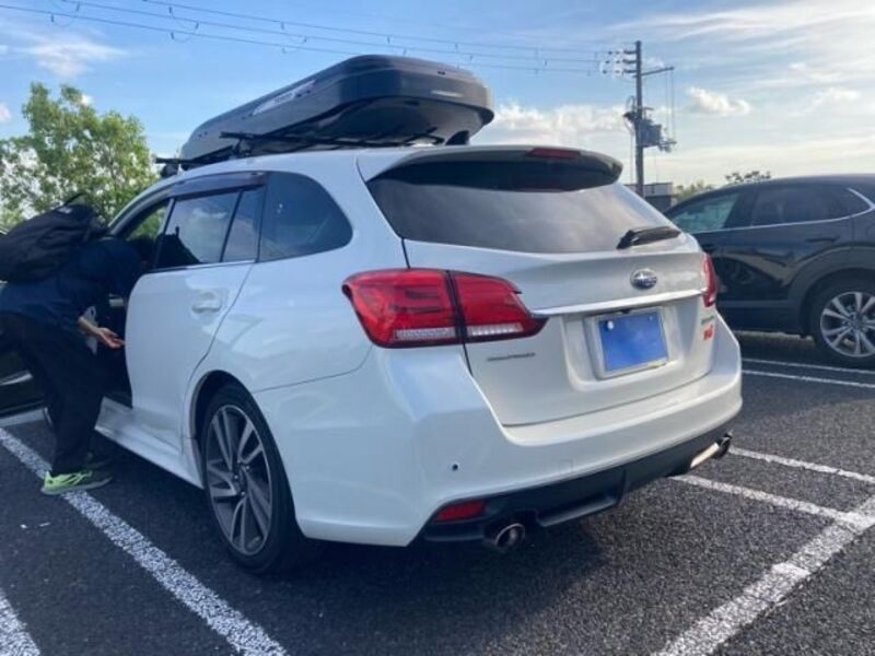 LEVORG