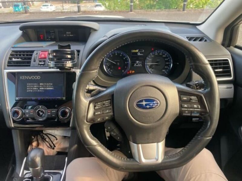 LEVORG