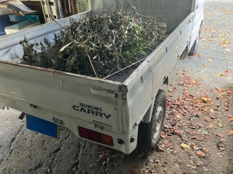 CARRY TRUCK