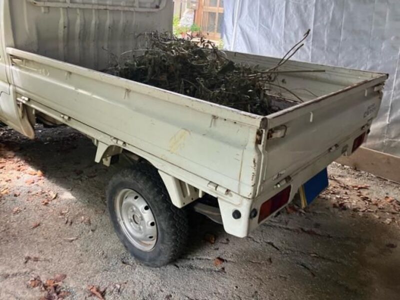 CARRY TRUCK