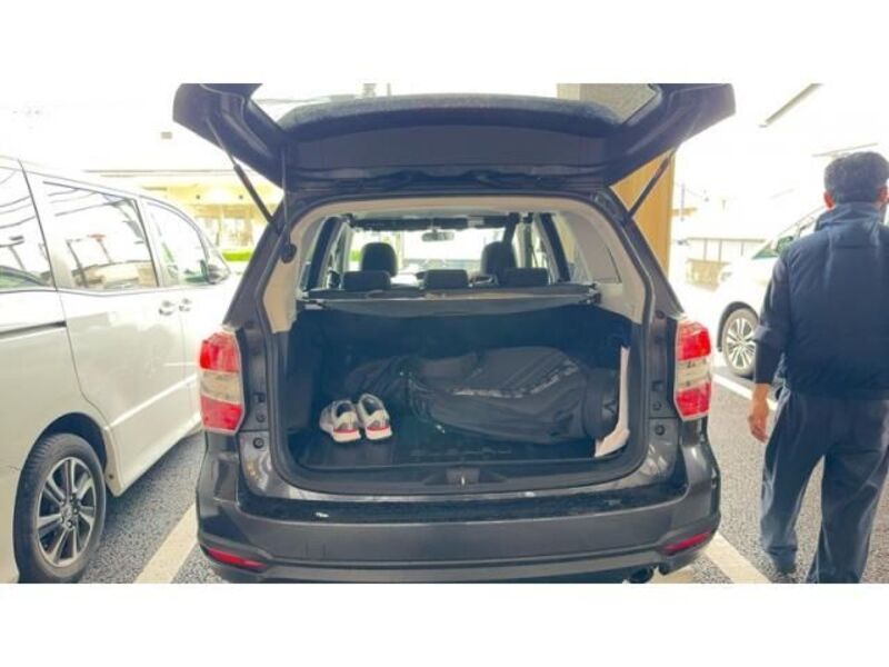 FORESTER-0
