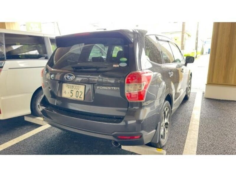 FORESTER