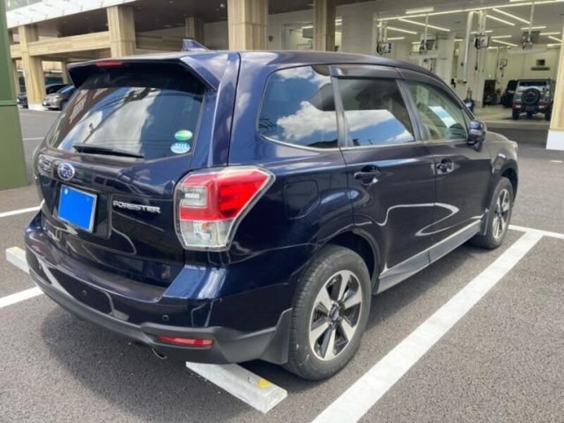 FORESTER