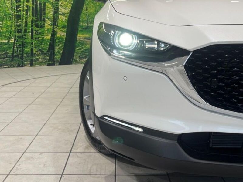CX-30