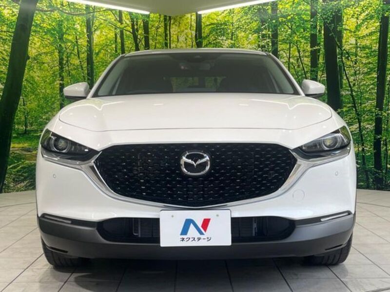 CX-30