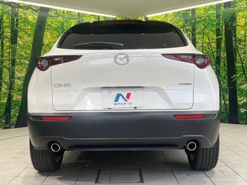 CX-30