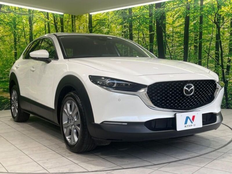 CX-30
