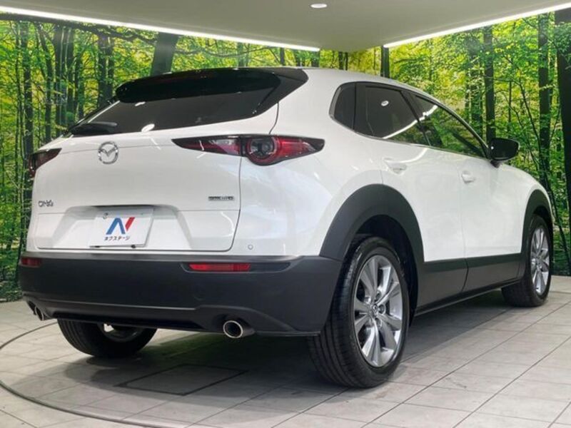 CX-30