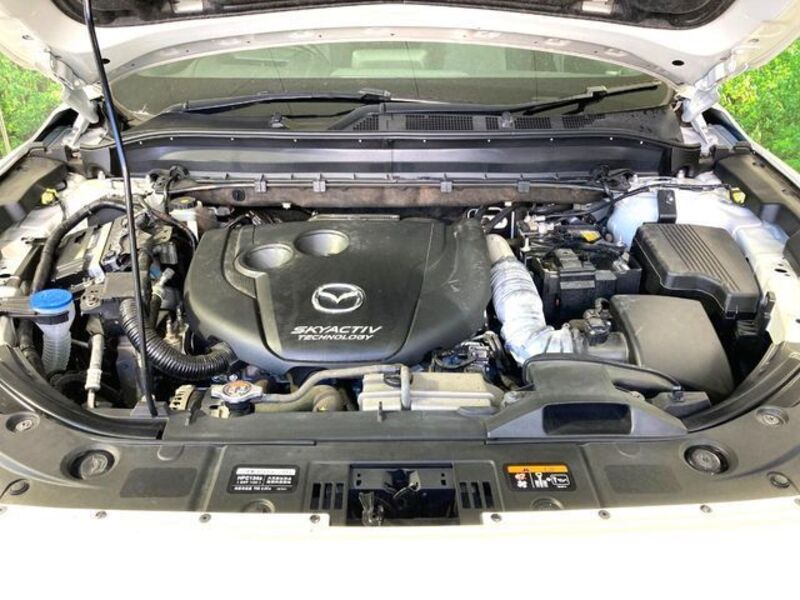 CX-8