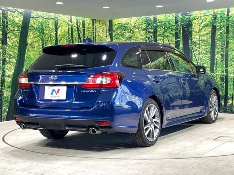 LEVORG