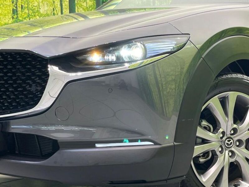 CX-30