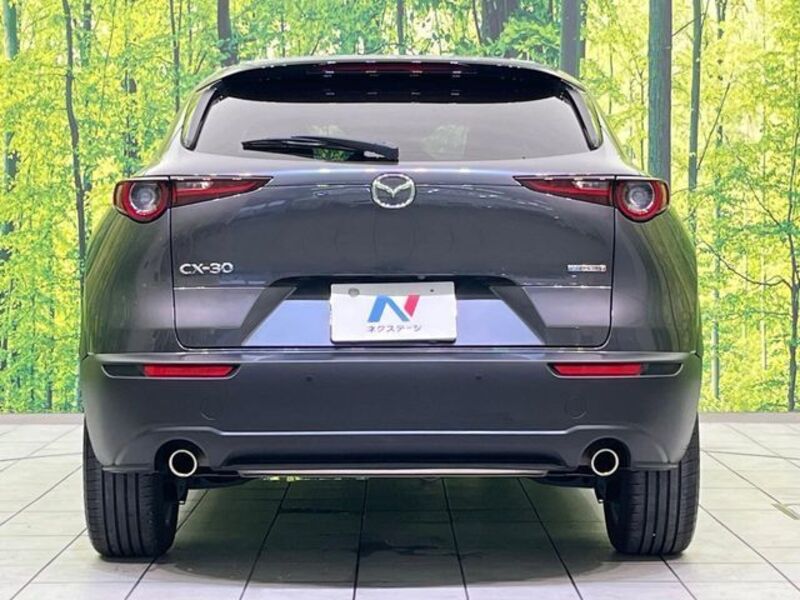 CX-30