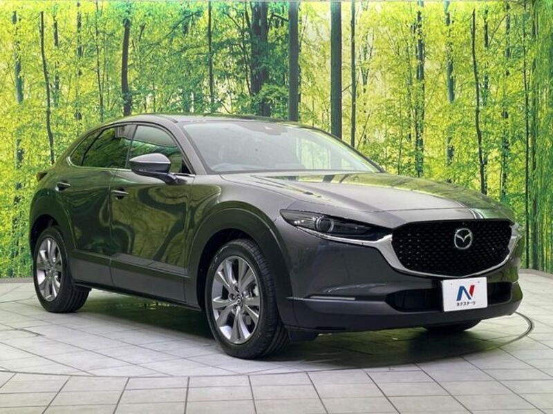 CX-30