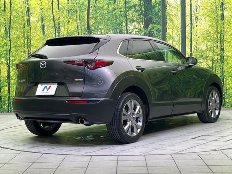 CX-30