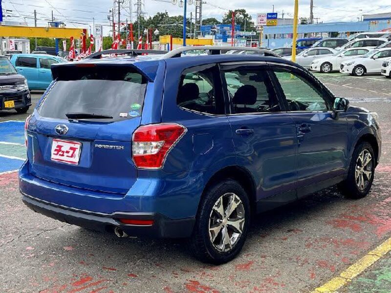 FORESTER
