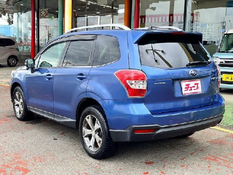 FORESTER