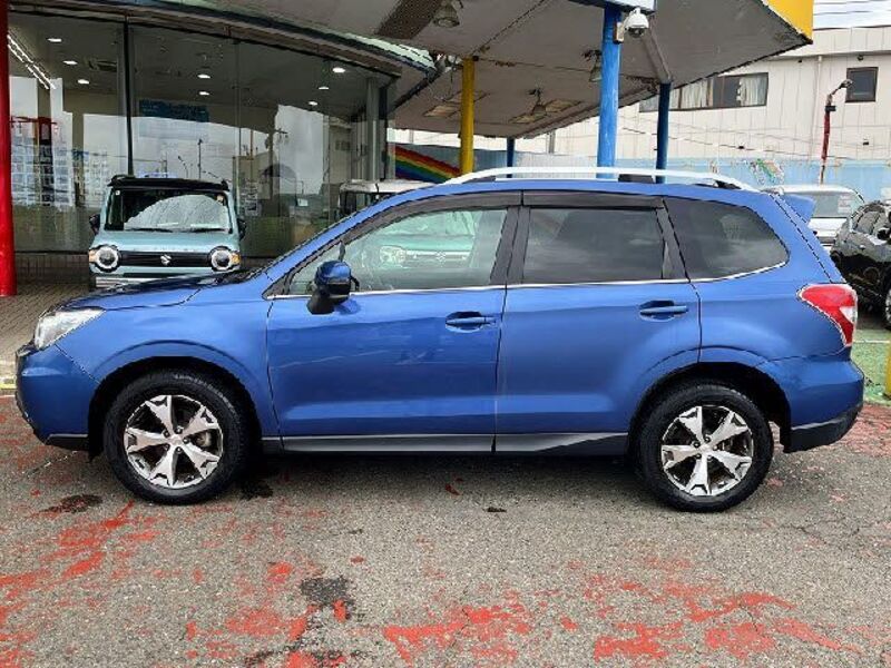 FORESTER