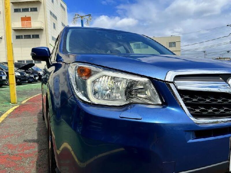FORESTER