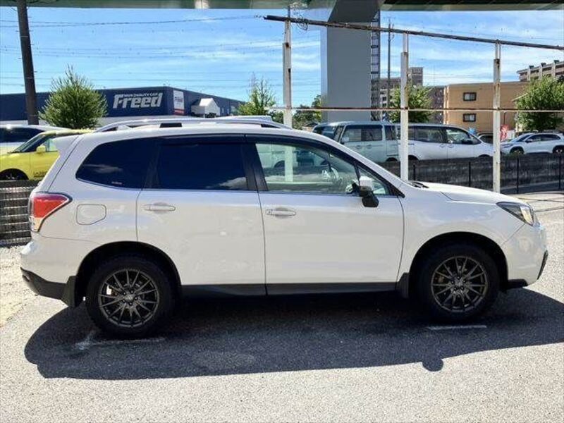 FORESTER