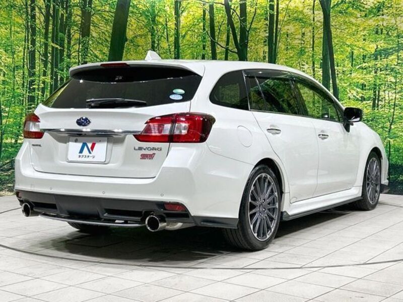 LEVORG
