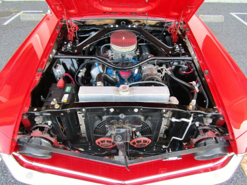 MUSTANG